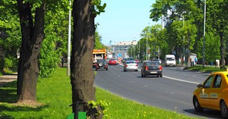 Посадка деревьев и кустарников в Вятских Поляне — стоимость от 1218 руб.